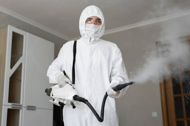 Mold Removal for HVAC Installations